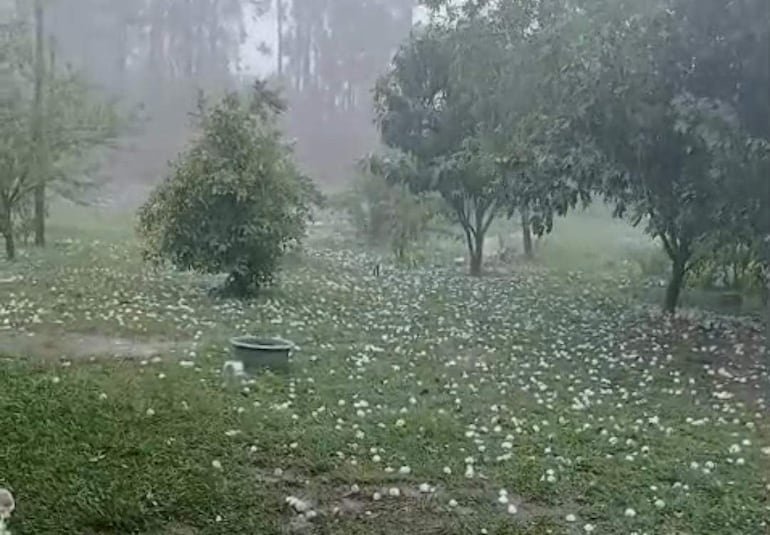 Paisaje rural con bolas blancas sobre el suelo, árboles dispersos y un ambiente nublado tras la granizada.