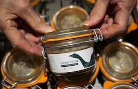 El "Esprit d'oie" es similar al foie gras, pero se elabora sin alimentación forzada de los gansos, razón por la cual la ley no le permite usar la denominación "foie gras", ya que no implica este método.