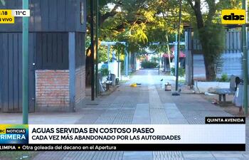 Paseo Quinta Avenida está cada vez más abandonado por las autoridades