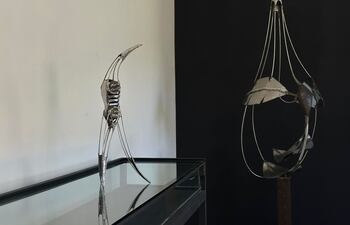 Obras de Juan Pablo Pistilli, que se podrán ver en la Casa de las Artes Visuales.