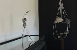 Obras de Juan Pablo Pistilli, que se podrán ver en la Casa de las Artes Visuales.