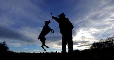 /pf/resources/images/abc-placeholder.png?d=2420