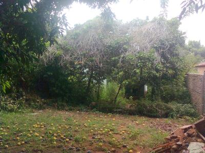 Imagen sin descripción