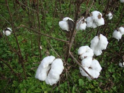 /pf/resources/images/abc-placeholder.png?d=2423