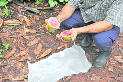 /pf/resources/images/abc-placeholder.png?d=2421