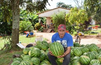 productores-de-la-compania-uai-del-distrito-de-acahay-expresaron-que-la-cosecha-de-sandias-del-tipo-tempranero-se-convirtio-en-una-importante-fu-200716000000-1696882.jpg
