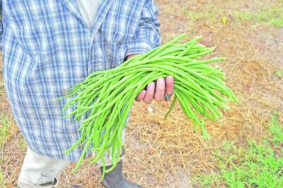 /pf/resources/images/abc-placeholder.png?d=2411