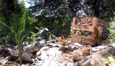 Vertedero ilegal en un minibosque del barrio  Santa Rosa de la compañía Rincón del Peñón.