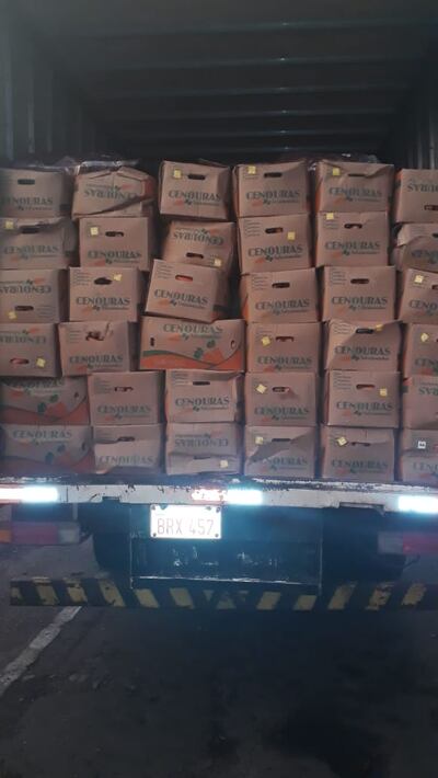 Verduras de presunto contrabando.