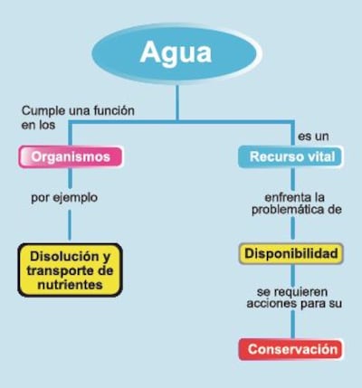 /pf/resources/images/abc-placeholder.png?d=2422