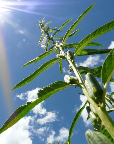 /pf/resources/images/abc-placeholder.png?d=2421