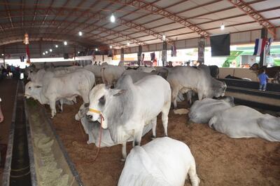 /pf/resources/images/abc-placeholder.png?d=2425