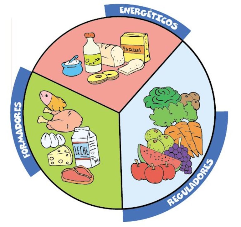 Grupos de alimentos - Escolar - ABC Color