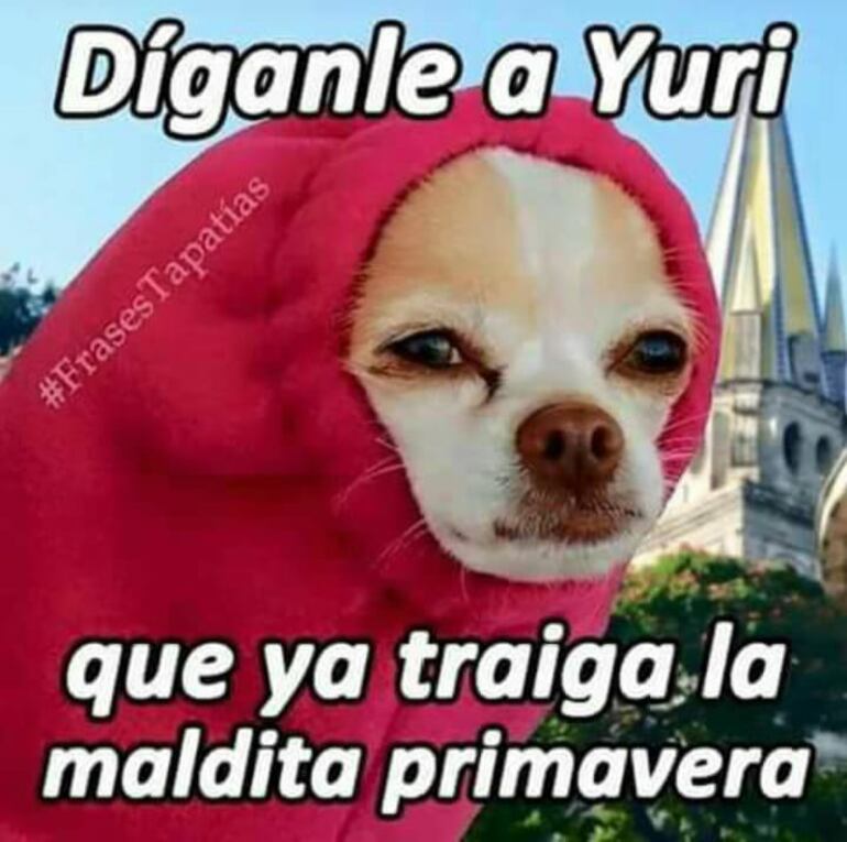 /pf/resources/images/abc-placeholder.png?d=2420