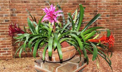 /pf/resources/images/abc-placeholder.png?d=2425