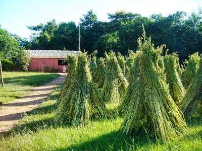 /pf/resources/images/abc-placeholder.png?d=2421