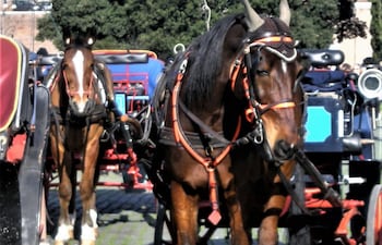 botticelle-roma-carruajes-101010000000-1764011.jpg