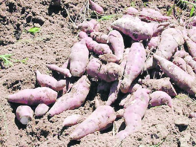 /pf/resources/images/abc-placeholder.png?d=2419