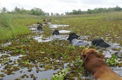 /pf/resources/images/abc-placeholder.png?d=2430