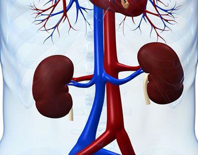 /pf/resources/images/abc-placeholder.png?d=2425