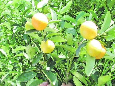 /pf/resources/images/abc-placeholder.png?d=2419