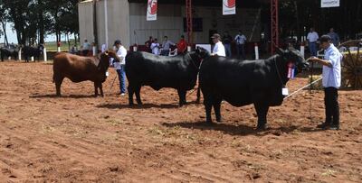 /pf/resources/images/abc-placeholder.png?d=2424