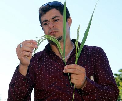 /pf/resources/images/abc-placeholder.png?d=2421