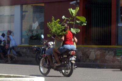 /pf/resources/images/abc-placeholder.png?d=2394