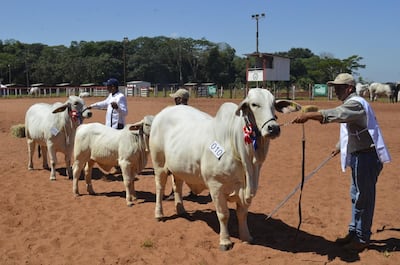 /pf/resources/images/abc-placeholder.png?d=2393