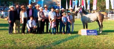 Gran campeón equino. Este es uno  de los  bloques del nuevo programa de ABC Rural TV.
