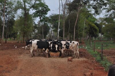 /pf/resources/images/abc-placeholder.png?d=2425