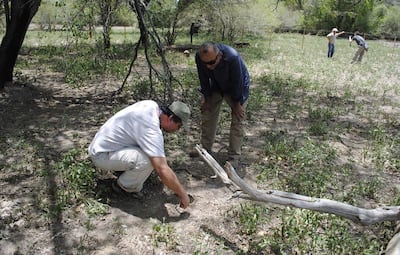 Imagen sin descripción