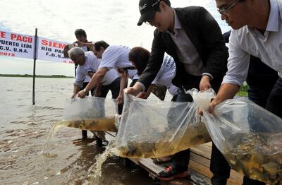 /pf/resources/images/abc-placeholder.png?d=2393