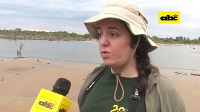 /pf/resources/images/abc-placeholder.png?d=2429