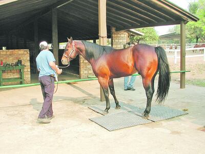 /pf/resources/images/abc-placeholder.png?d=2424