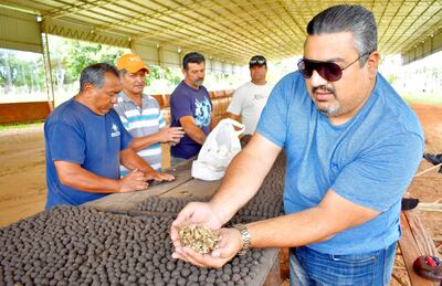 Reforestación vía aérea del Ybytyruzú
