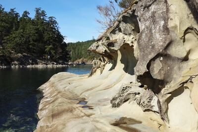 El viento y el mar han dado a las rocas de arenisca de las Islas Galiano su forma especial.