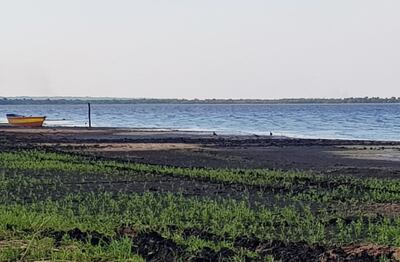 Imagen actual del Lago Ypacaraí, que servirá de marco para la intervención.