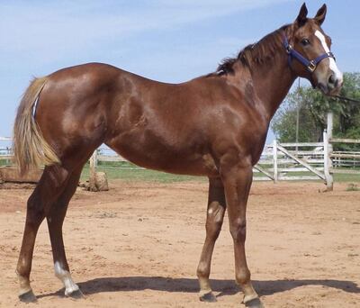 /pf/resources/images/abc-placeholder.png?d=2395