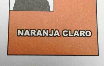 tono-naranja-claro-que-la-justicia-electoral-adjudico-a-la-alianza-ganar--215131000000-1677655.jpg