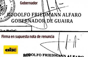 segun-el-perito-de-la-corte-blas-jara-la-firma-en-la-nota-de-renuncia-es-tan-grosera-como-falsa--215259000000-1562607.jpg