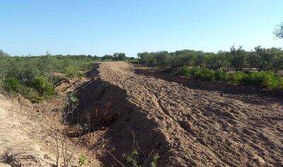 /pf/resources/images/abc-placeholder.png?d=2395