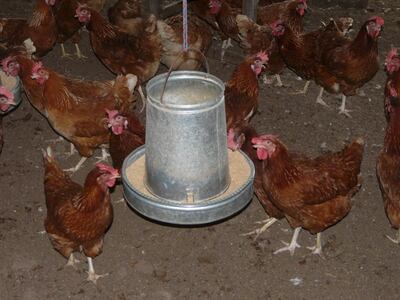 Imagen sin descripción