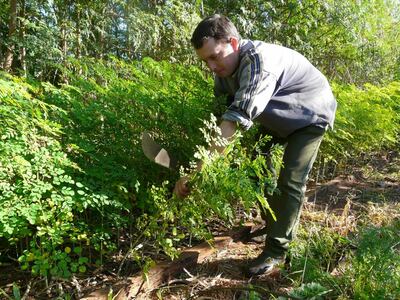 /pf/resources/images/abc-placeholder.png?d=2425