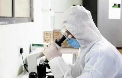 Alrededor del mundo, se realizan investigaciones en diversos frentes para enfrentar la pandemia del covid-19.