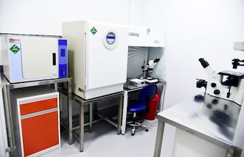 biotecnologia-212328000000-1745171.jpg