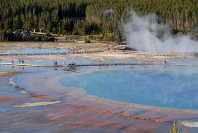 Ahora el Parque Nacional Yellowstone también podrá recorrerse sin pagar entrada.