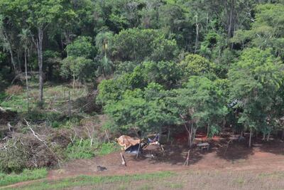 /pf/resources/images/abc-placeholder.png?d=2394