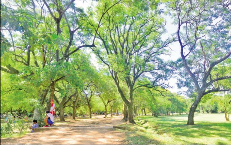 /pf/resources/images/abc-placeholder.png?d=2393