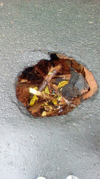 /pf/resources/images/abc-placeholder.png?d=2420